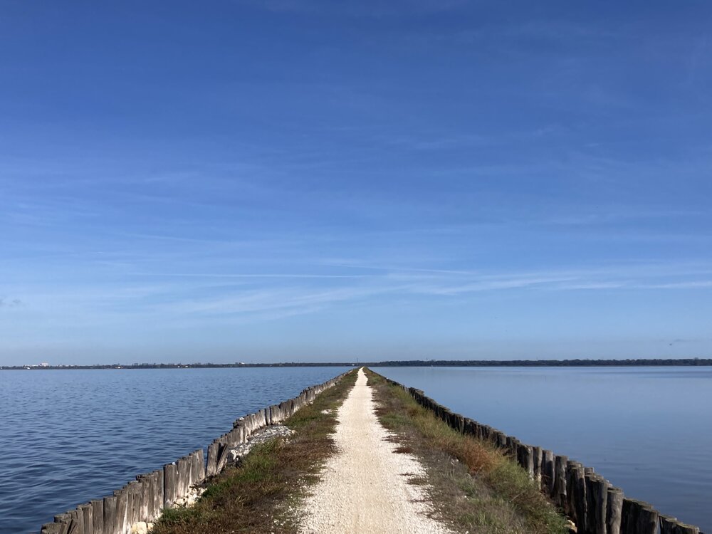 img_4259.jpeg img_4259.jpeg