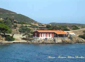 Asinara