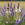 40261_2eadf707870bc981a9dafd648df4bc503727f3fd 40261_2eadf707870bc981a9dafd648df4bc503727f3fd