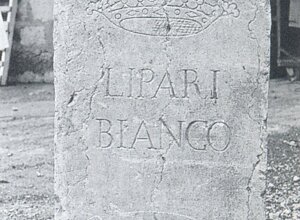 cippo2.jpeg