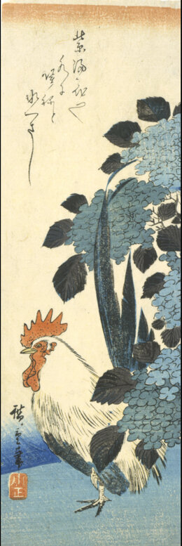 Arte - 'Gallo e ortensie' dipinto di U. Hiroshige