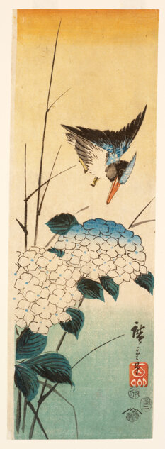 'Martin pescatore e ortensie' di U. Hiroshige