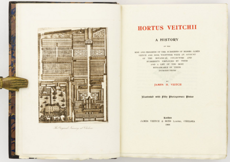 Hortus Veitchii 