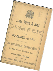 Catalogo Veitch
