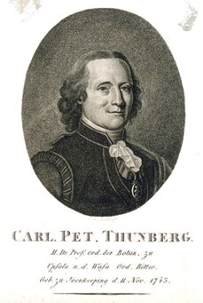 ritratto di Carl Peter Thunberg medico e naturalista svedese