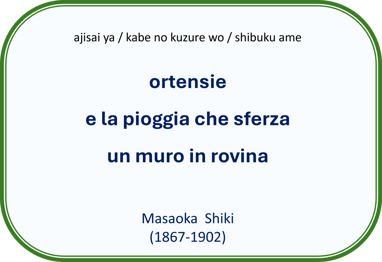 Haiku di M.Shiki: ortensie e la pioggia che sferza un muro in rovina