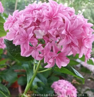 you and me inspire fiore 2.jpeg you and me inspire fiore 2.jpeg