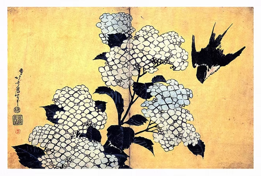 l'Hydrangea e la rondine di K. Hokusai