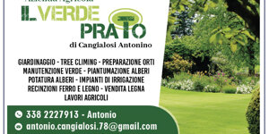 premium%20sponsor%202026%20sitoweb-20.jpeg