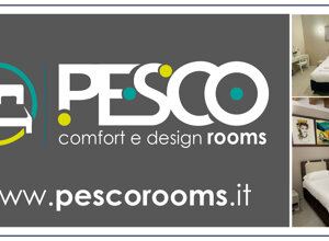 main%20sponsor%202026%20sitoweb-08.jpeg main%20sponsor%202026%20sitoweb-08.jpeg