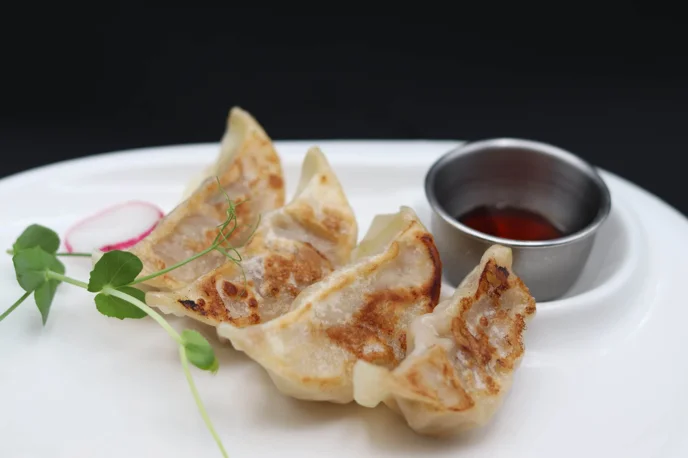 yaki gyoza (2)