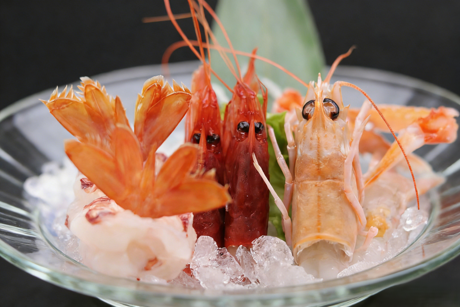 HayashiSushi HayashiSushi