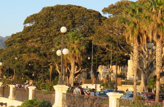 rabarama%20reggio%20calabria.jpeg rabarama%20reggio%20calabria.jpeg