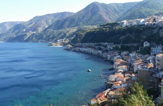 scilla.jpeg scilla.jpeg