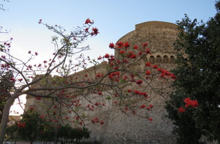 statua%20atena.jpeg statua%20atena.jpeg