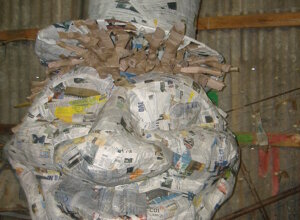 495586850_9698526853566049_3525440268556764664_n.jpeg 495586850_9698526853566049_3525440268556764664_n.jpeg