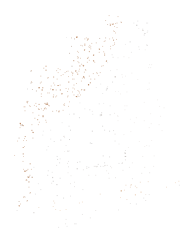 parete_3d-animato-copia