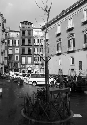 0e5e8292-f4e5-4b3d-a7ae-00797c747d92.jpeg 0e5e8292-f4e5-4b3d-a7ae-00797c747d92.jpeg