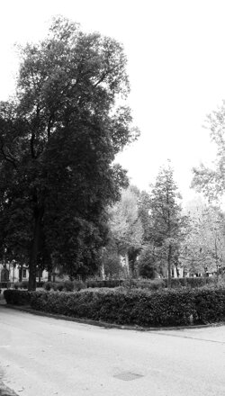 piazza_dazeglio_def piazza_dazeglio_def