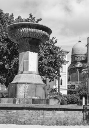 img_2049.jpeg img_2049.jpeg