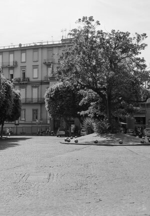 img_2048.jpeg img_2048.jpeg