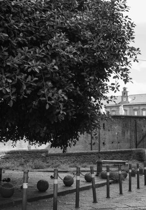 img_2042.jpeg img_2042.jpeg