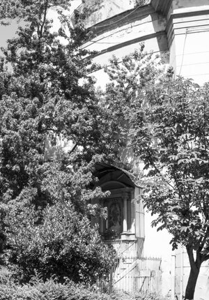 img_2043.jpeg img_2043.jpeg