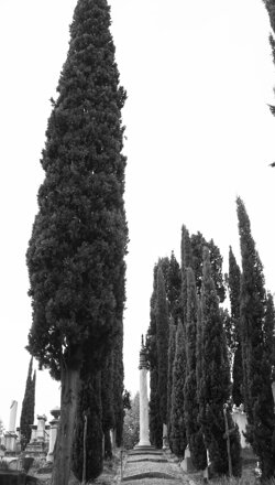 piazzale_donatello_def piazzale_donatello_def