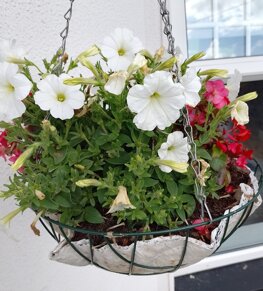 img_20230729_171017.jpeg