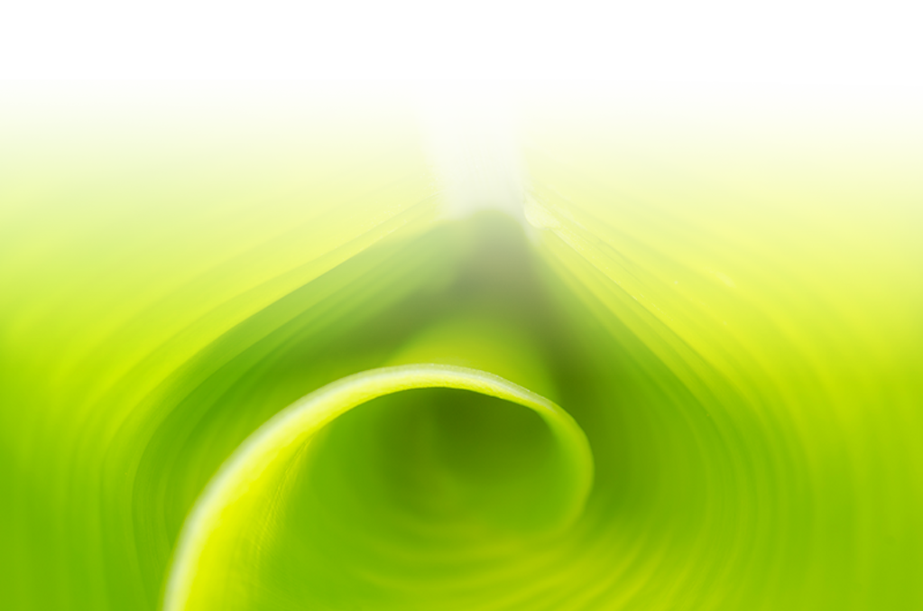 +full-frame-shot-green-leaf +full-frame-shot-green-leaf