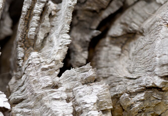 _materiale-n.jpeg _materiale-n.jpeg