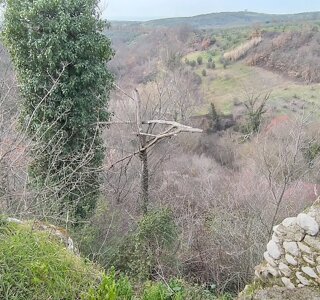 40359_98af56e8412c58057d4bae542f3529b3d149775b 40359_98af56e8412c58057d4bae542f3529b3d149775b