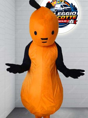 mascotte bing flop noleggio Calabria - Cosenza - Reggio Calabria - Rossano - Castrovillari - Cassano Allo ionio - Rende - Catanzaro - Cariati - altomonte