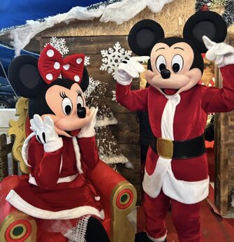 mascotte natalizie noleggio Calabria - Cosenza - Reggio Calabria - Rossano - Castrovillari - Cassano Allo ionio - Rende - Catanzaro - Cariati - altomonte