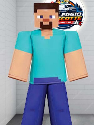 mascotte minecraft noleggio Calabria - Cosenza - Reggio Calabria - Rossano - Castrovillari - Cassano Allo ionio - Rende - Catanzaro - Cariati - altomonte