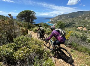 495285130_1465389728029665_3896690647284859031_n%20(1).jpeg 495285130_1465389728029665_3896690647284859031_n%20(1).jpeg