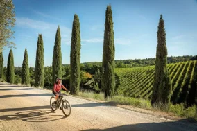 ebike-tour-in-chianti