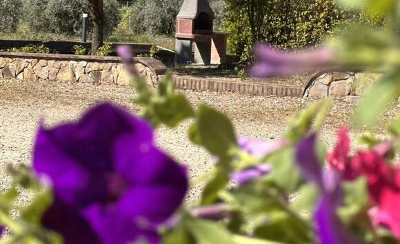 ospitalitaÌ-rurale-toscana.jpeg ospitalitaÌ-rurale-toscana.jpeg