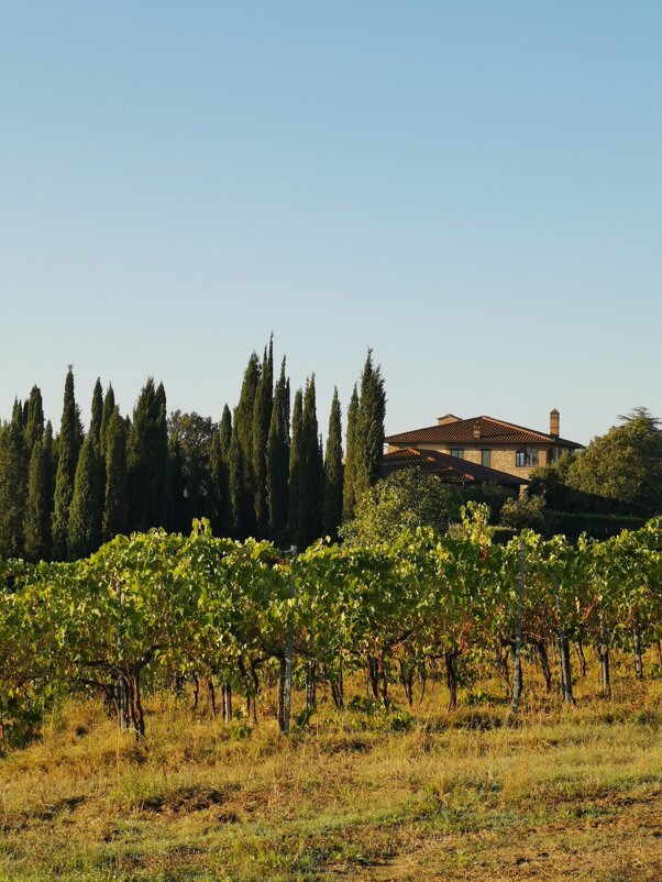 40374_57522f799303abaf83a1b8d97f58f91e86524489