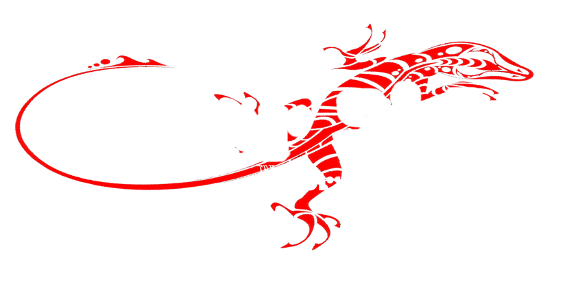 logo os