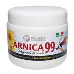 arnica-del-cavallo-99