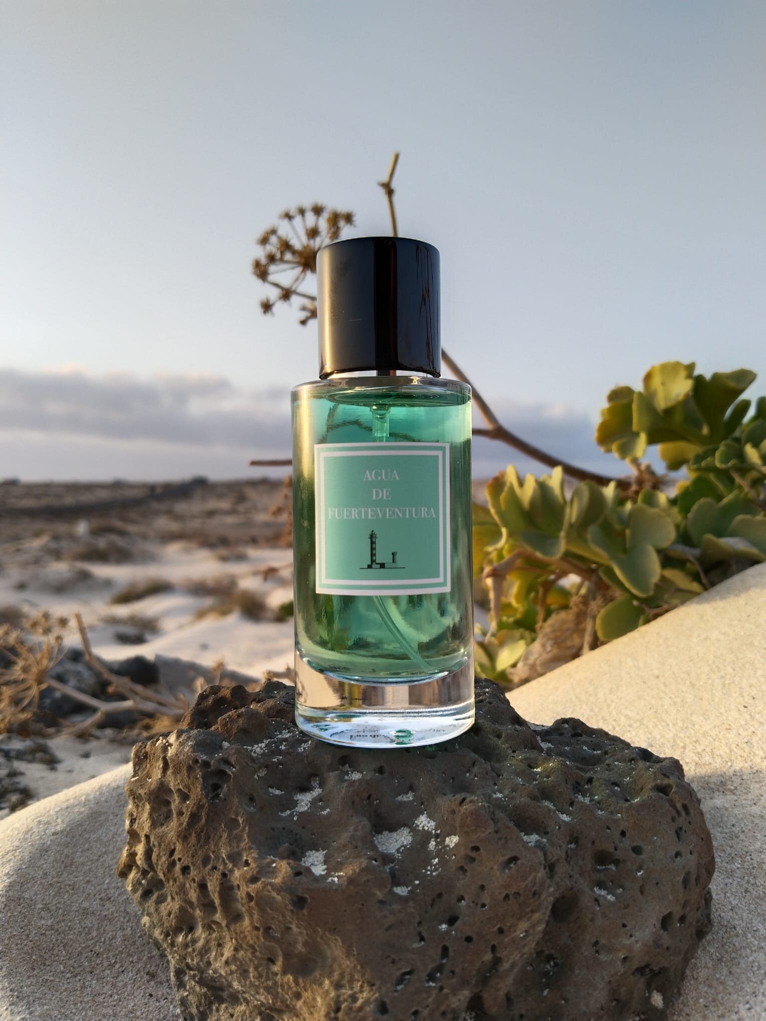 Qu&eacute; perfume elegir como recuerdo de Fuerteventura