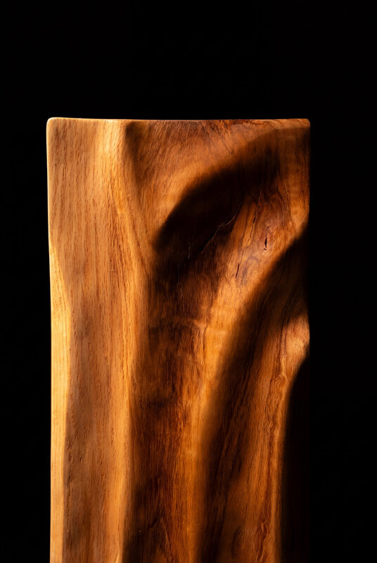Dettaglio di opera scultorea in legno conforme organiche
