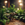 40453_db26ae018506f828564a589db166b35525394e3c