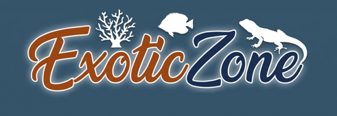 logoexoticzoneblu