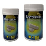 bacterium-plus-20-capsule-aquili