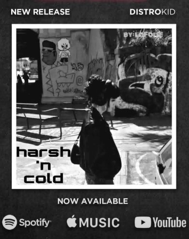 copertina harsh 'n cold da distrokid.jpeg