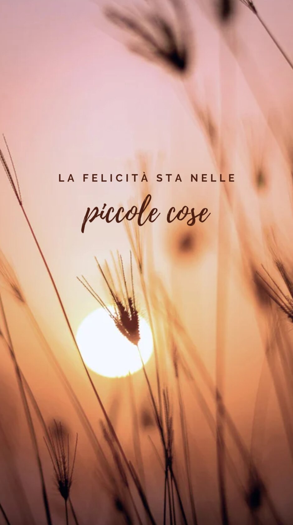 LA FELICITA' STA NELLE PICCOLE COSE