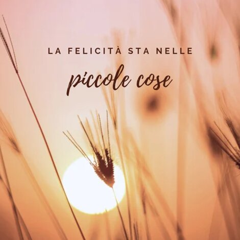 img_20260326_161609.jpeg img_20260326_161609.jpeg