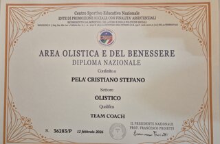 attestato%20tcs%20level%201.jpeg